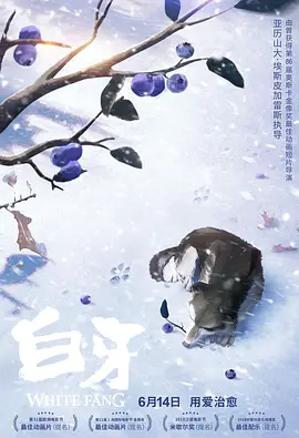 伊人久久国产